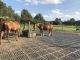Weidematten / Dalles anti-boues